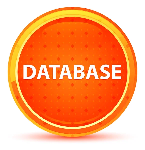 Database Natural Orange Round Button — Stock Photo, Image