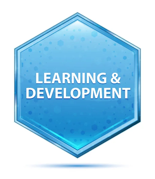 Aprendizagem & Desenvolvimento cristal botão hexágono azul — Fotografia de Stock