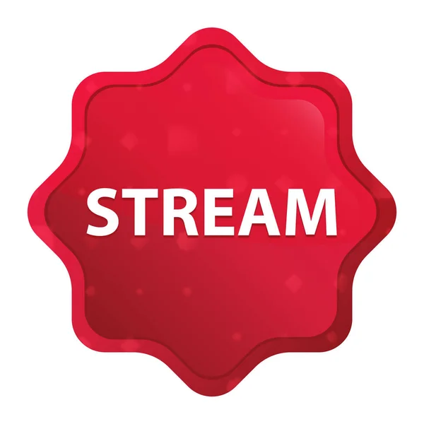 Stream Misty Rose Rode Starburst sticker knop — Stockfoto