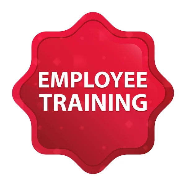 Employee Training misty rose red starburst sticker button