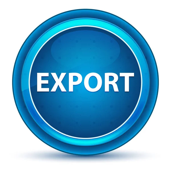 Exportovat oko modrý kulatý knoflík — Stock fotografie