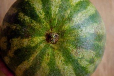 Karpuz kabuğunun dokusu. yeşil karpuz kabuğu. Karpuz kabuğu. yeşil arka plan. Karpuz arkaplanı.