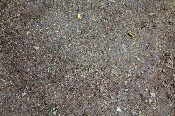 Earth Pattern Stones Road Street — Stock Photo, Image