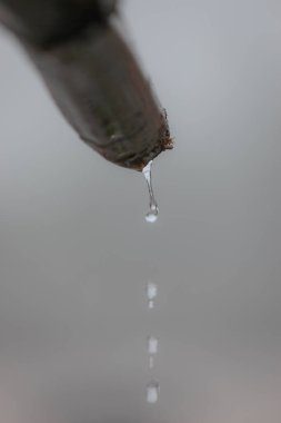 Düz zemindeki odunlardan su damlaları düşüyor.