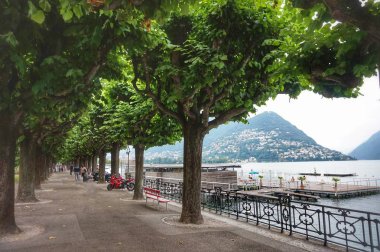 Lugano şehrinin rıhtımında hornbeams eski sokak.