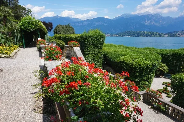 Villa Carlotta'nın güzel yeşil terasları.