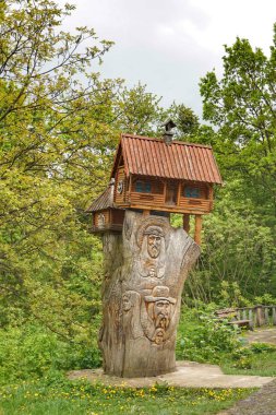 Parktaki ağaçtaki hayvanlar için bir ev.