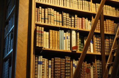 Hofburg Sarayı'ndaki Ulusal Avusturya Kütüphanesi'nin ana salonundaki kitaplık