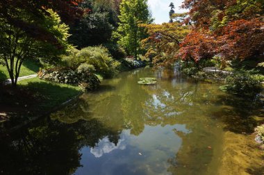 Villa Melzi botanik bahçesinde Alpine Hill, Bellagio.