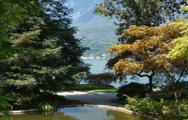 Vue Sur Lac Côme Travers Les Arbres Villa Menzi Bellagio — Photo