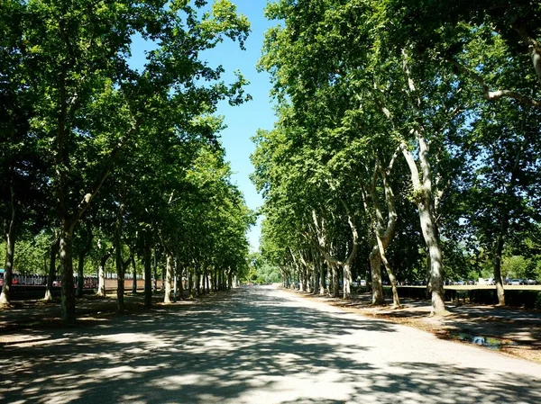 Green shady park in southern Europe