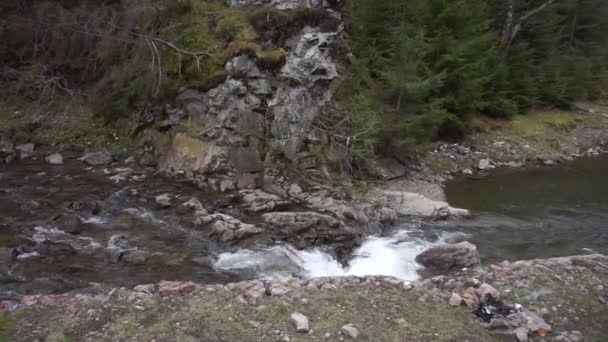 Вода Тече Річкою Карпат — стокове відео