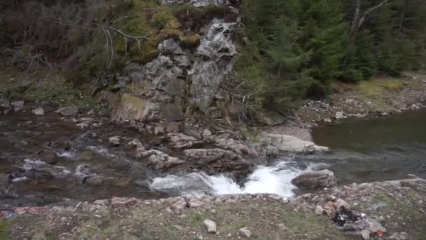 Flujos Agua Río Cárpatos — Vídeo de stock