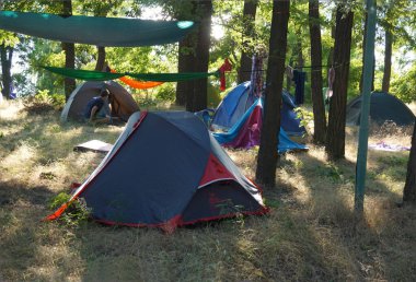 Ormanda turist çadırları var. Kampçılar park ediyor..           