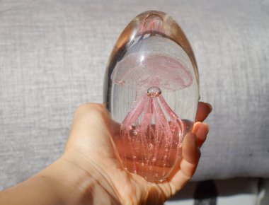  Kızın elinde tuttuğu iç kısım, yıldız kubbesindeki denizanası.  