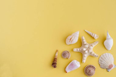Kopya alanı ve deniz kabuğu kenarlığı olan sarı arkaplan
