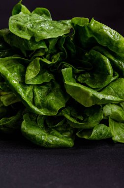 Siyah bir arka plan üzerinde yeşil taze ıspanak