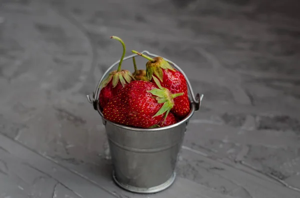 Frische, sommerreife Erdbeeren in einem kleinen Eimer auf einem grauen — Stockfoto