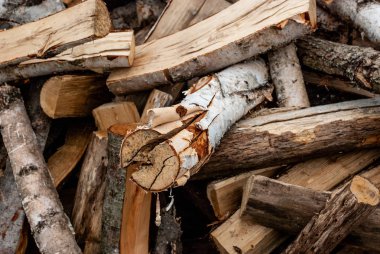 Split kuru odun kış için hazır. Kütüklerin arka planı, huş ağacı, 
