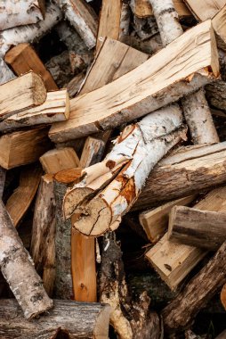 Split kuru odun kış için hazır. Kütüklerin arka planı, huş ağacı, 