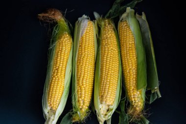 Siyah bir arka plan üzerinde sarı tatlı çiğ mısır