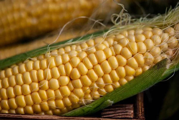 Yellow sweet raw corn in a wooden box on a black background — Stock Photo, Image