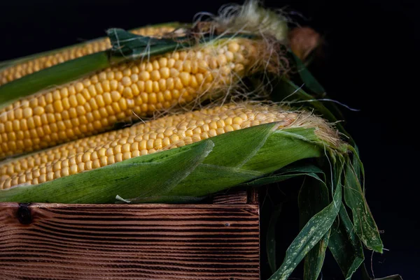 Yellow sweet raw corn in a wooden box on a black background — Stock Photo, Image