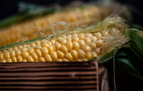 Yellow sweet raw corn in a wooden box on a black background — Stock Photo, Image