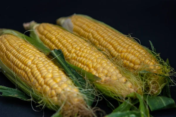 Yellow sweet raw corn on a black background close-up. — Stock Photo, Image