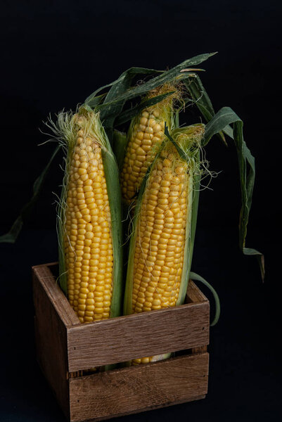 Yellow sweet raw corn in a wooden box on a black background clos