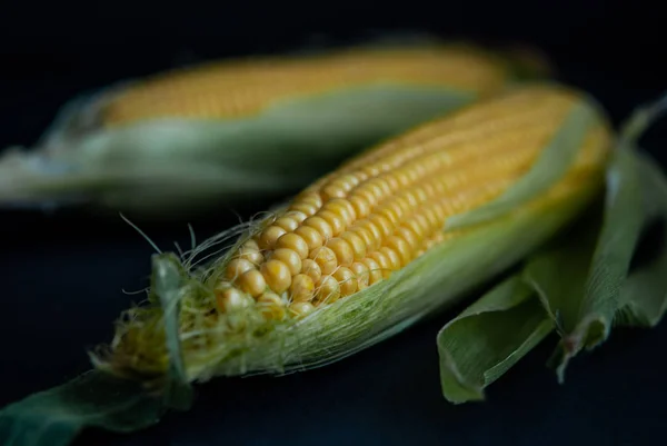 Yellow sweet raw corn on a black background — Stock Photo, Image