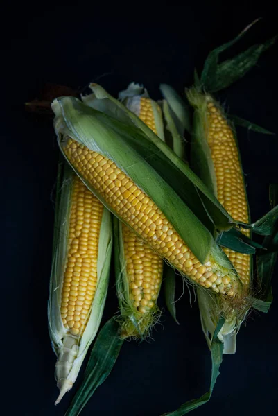 Yellow sweet raw corn on a black background — Stock Photo, Image