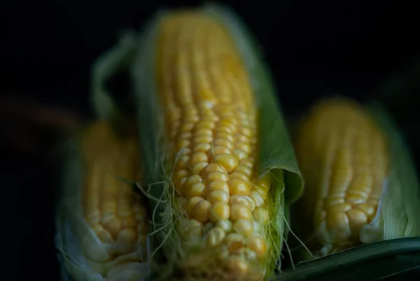 Yellow sweet raw corn on a black background — Stock Photo, Image