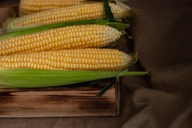 Tekstil arka plan clos üzerinde ahşap bir kutu içinde Sarı tatlı çiğ mısır