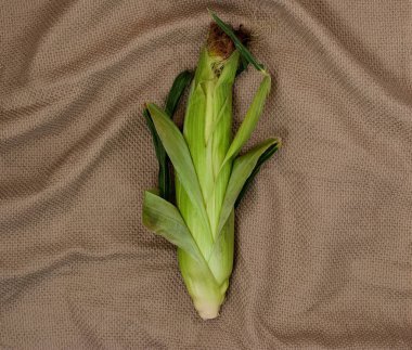 Bir textil üzerinde bir packcat üzerinde yeşil yaprakları ile Sarı tatlı çiğ mısır