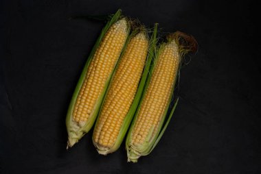 Siyah bir arka plan üzerinde sarı tatlı çiğ mısır. 