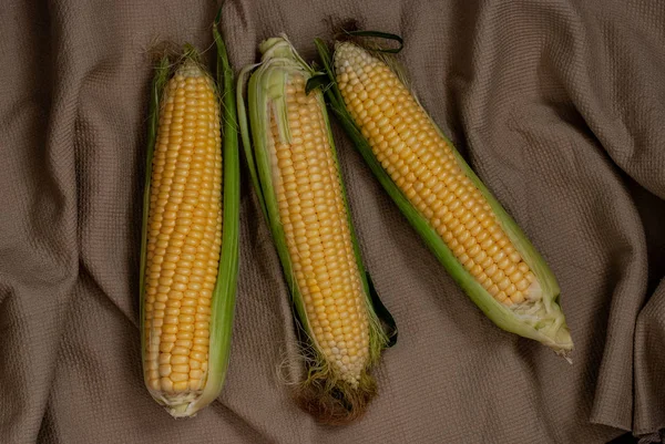 Yellow sweet raw corn on a rustic textile background. — Stock Photo, Image