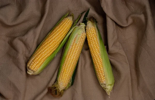 Yellow sweet raw corn on a rustic textile background. — Stock Photo, Image