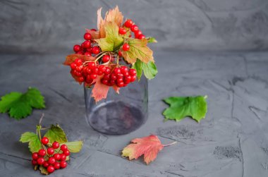 Olgun kırmızı viburum meyveleri ve kırmızı yapraklar cam bir vazoda 