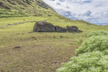 Rano Raraku volkan ve düşmüş moai