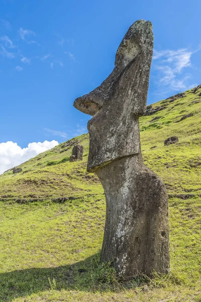 Moai Rano Raraku Volcano Tepesi'nde profilinde