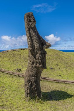 Moai Rano Raraku Volcano Tepesi'nde profilinde