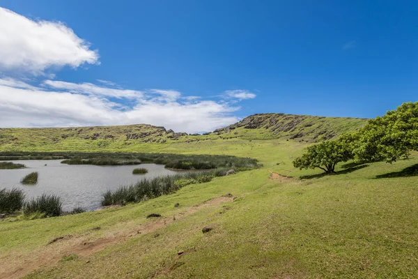 Rano Raraku yanardağ ile yeraltı moai iç eğim