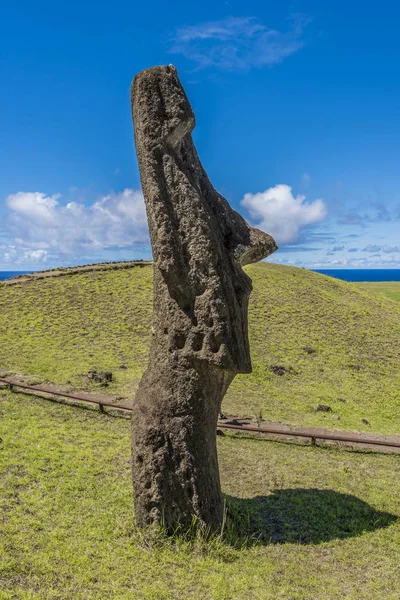 Moai Rano Raraku Volcano Tepesi'nde profilinde