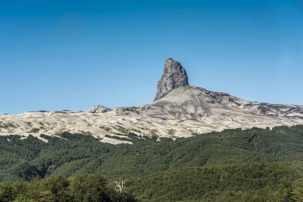 Şili-Arjantin sınırında Nahuel Huapi Milli Parkı 'nda kaya