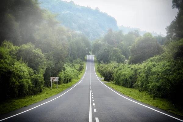 Şili Patagonya 'da Puyehue Milli Parkı ormanı üzerinden yol