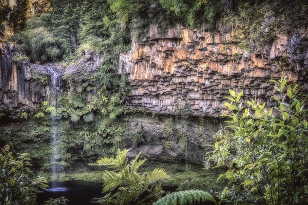 Puyehue Milli Parkı 'nda küçük şelale