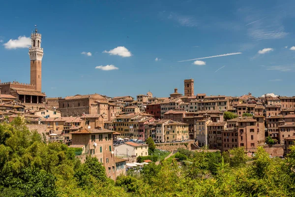 Mangia Kulesi ile güneyden Siena görünümü