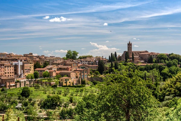 Blick Auf Siena Mit Der Basilika Von San Clemente — Stockfoto