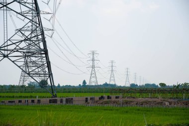 Alanlarda büyük yüksek voltajlı elektrik direkleri, Tayland.